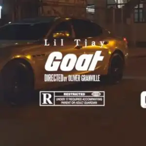 Instrumental: Lil TJay - Goat (Produced By CashmoneyAP & CedDidit)